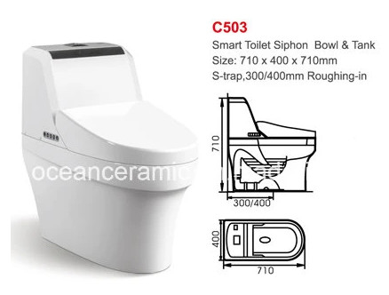 Uma peça 710 X 400 X 710 mm Smart Toilet Wall Hang Standing Smart Toilet Seat